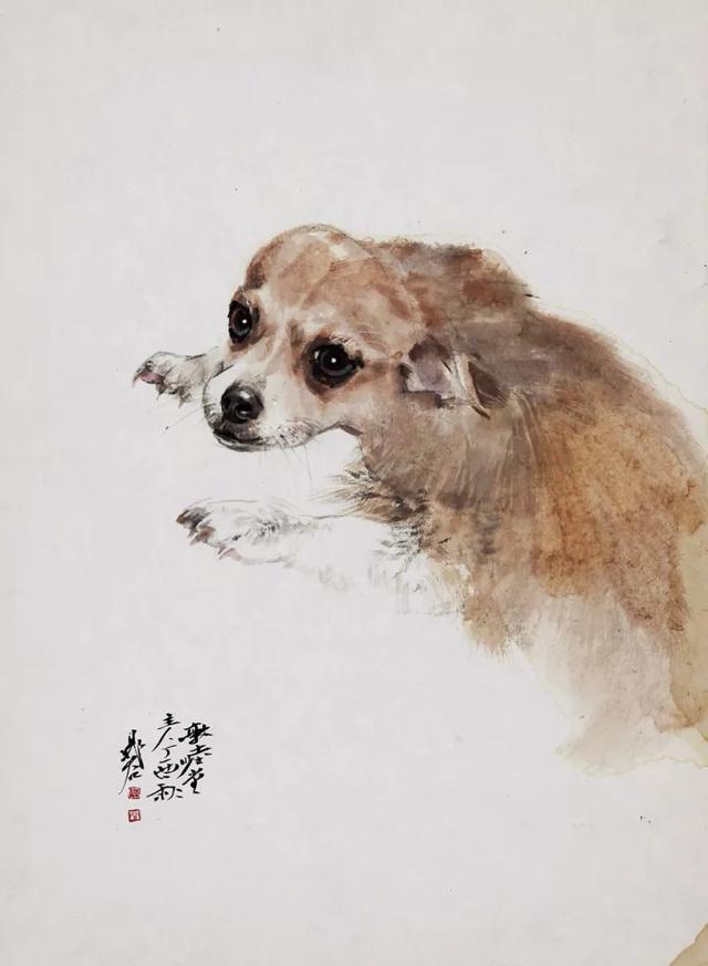 画十二生肖里的狗,晁谷画猫