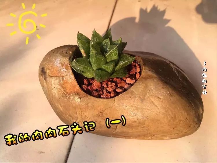 家有3姐妹,家有三姐妹好幸福