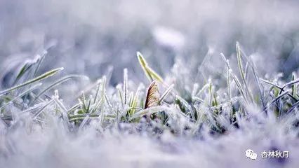 冬天养阴最好的方法,冬天吃什么养阴润燥