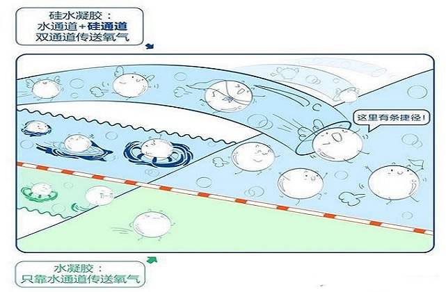 美瞳对眼睛的伤害,多久戴一次美瞳对眼睛伤害小