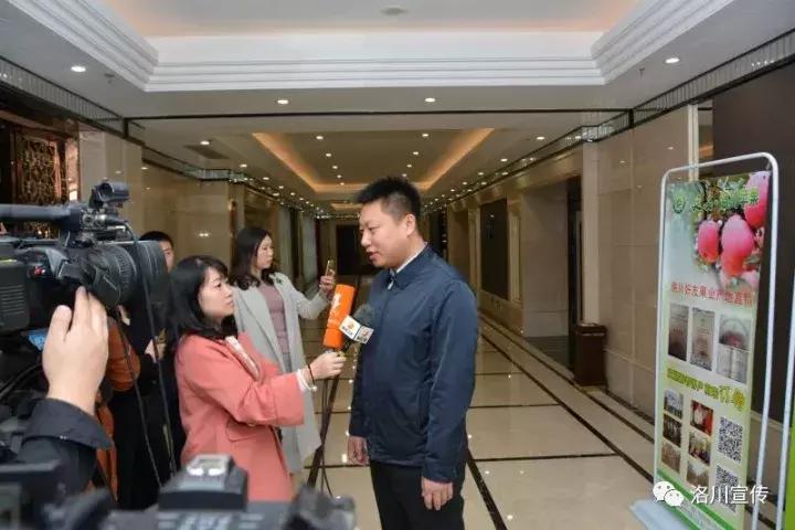洛川苹果惊艳蓉城品牌知名度再升级