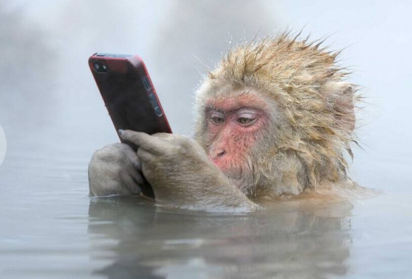 别怕！中国游客这次没有闯祸，也没有3分钟买空商场！