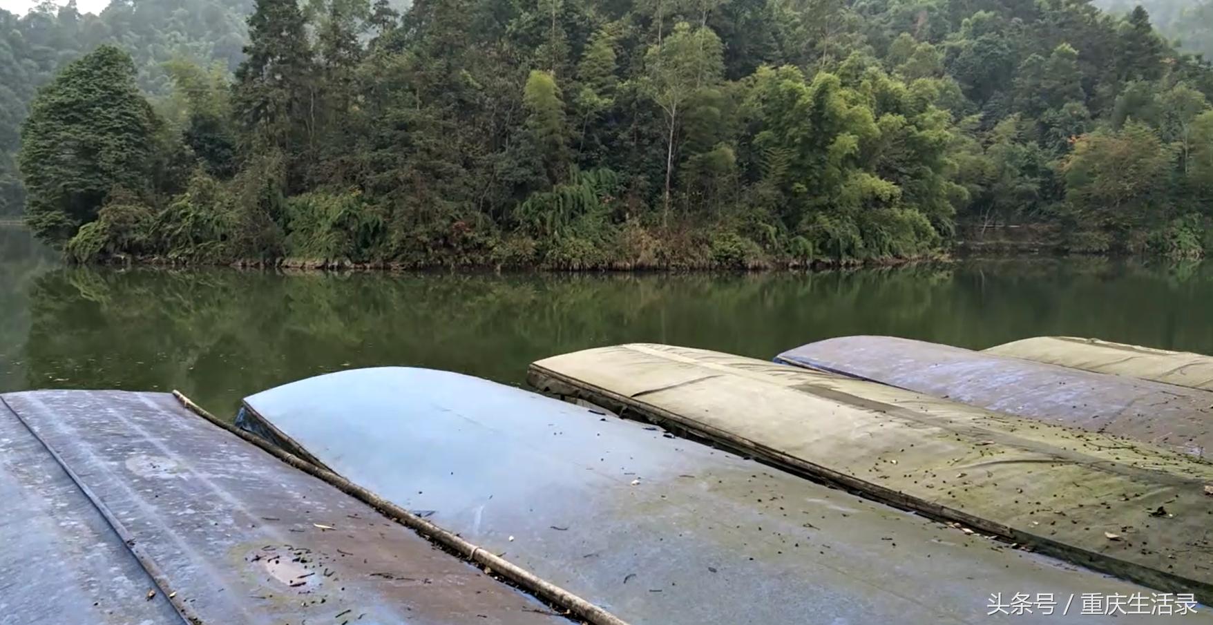 重庆璧山风景区,璧山森林公园风景区介绍