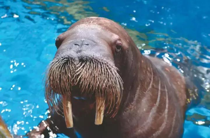 武汉地铁2号线有什么玩的,武汉哪条地铁线最方便