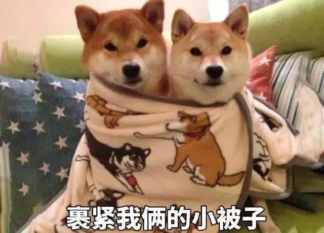 谢谢你们这么温暖,让我差点忘记了找男朋友!