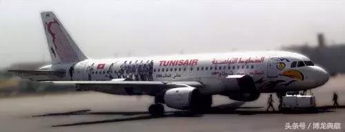 来！聊聊世界杯战场上的“飞禽走兽”们