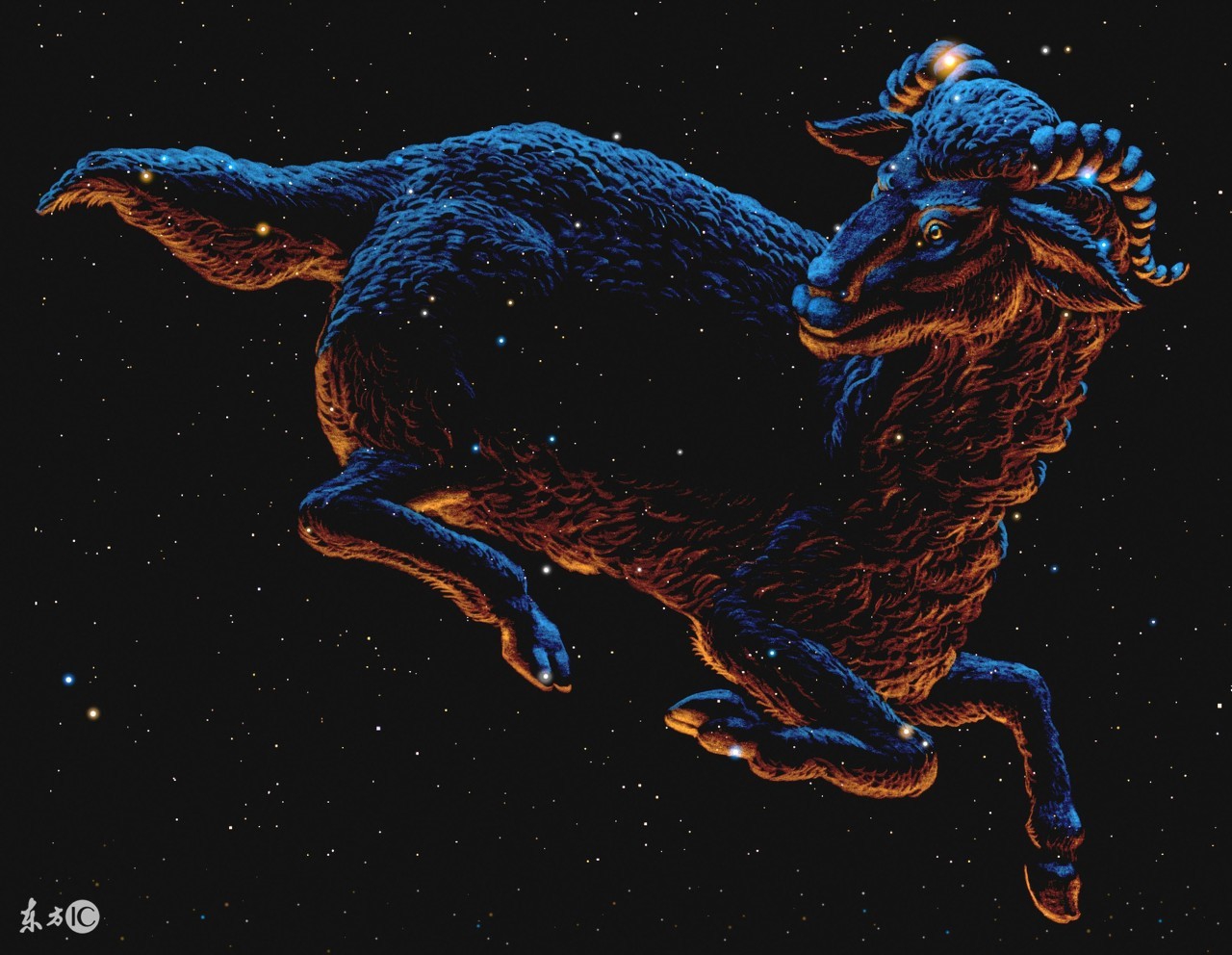 测我的星座和性格分析图,看十二星座测命运