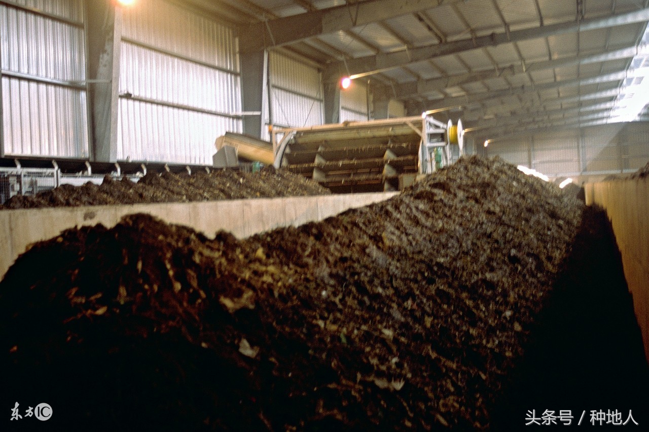 鸡粪怎样发酵成有机肥EM堆肥剂,鸡粪厌氧发酵有机肥技术