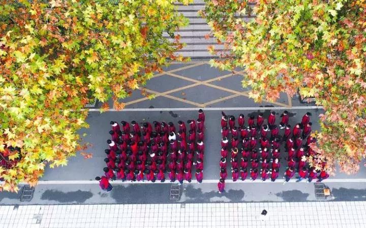 江西省上栗中学排名,江西省教育厅上栗中学