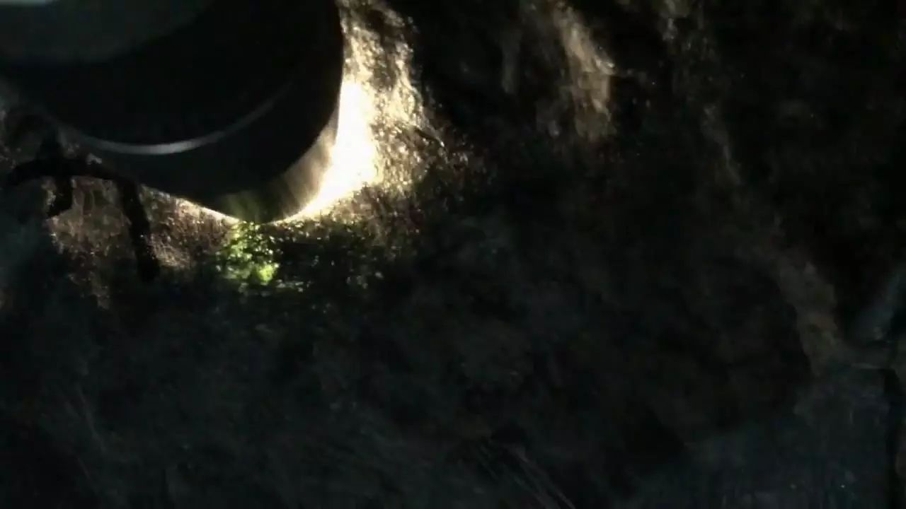 6000入手的莫西沙翡翠原石,2万拿下的莫西沙翡翠原石