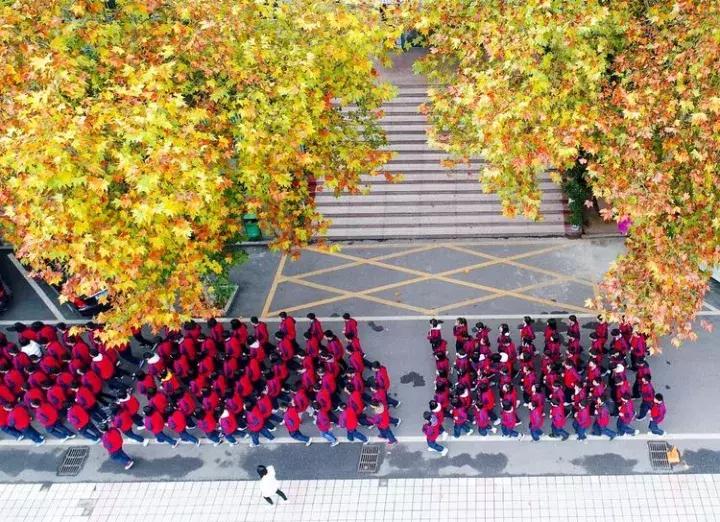 江西省上栗中学排名,江西省教育厅上栗中学