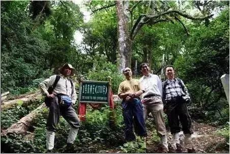 多彩的西双版纳,多彩云南版纳