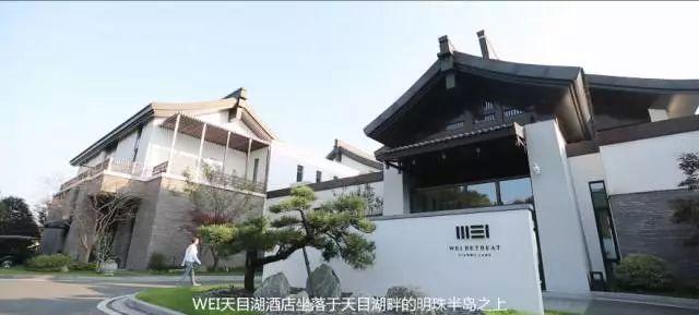 离城市不远靠自然很近,离城市不远却离自然很近完整版