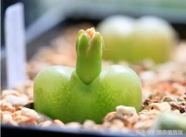 那些年，让*欲人**罢不能的屁屁！美呆了！