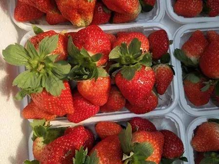 最新农产品供求信息,大农圈最新文章