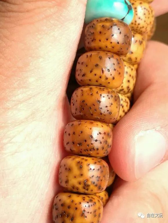 百年老星月菩提最极品的品相,藏式百年老星月菩提佛珠