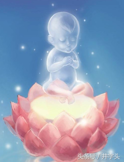 修行｜由先天品至神化品，层层道明，《云宫法语》！附全文