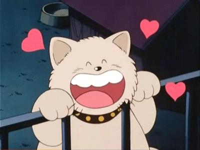 盘点全网十大网红狗狗,盘点电影中的十大狗狗明星