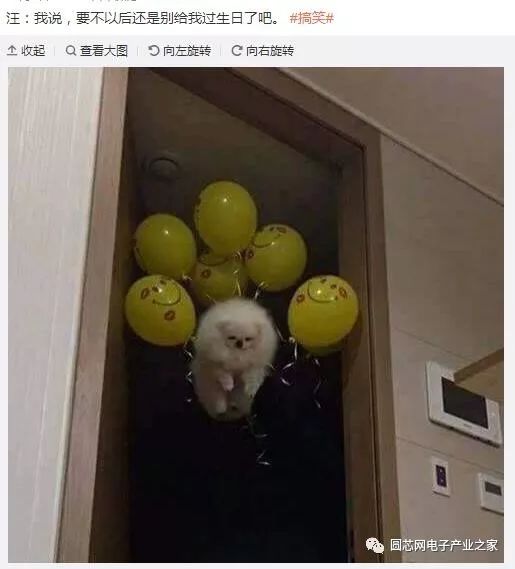 女人上辈子都是福尔摩斯吗,每一个女人都有当福尔摩斯的潜质