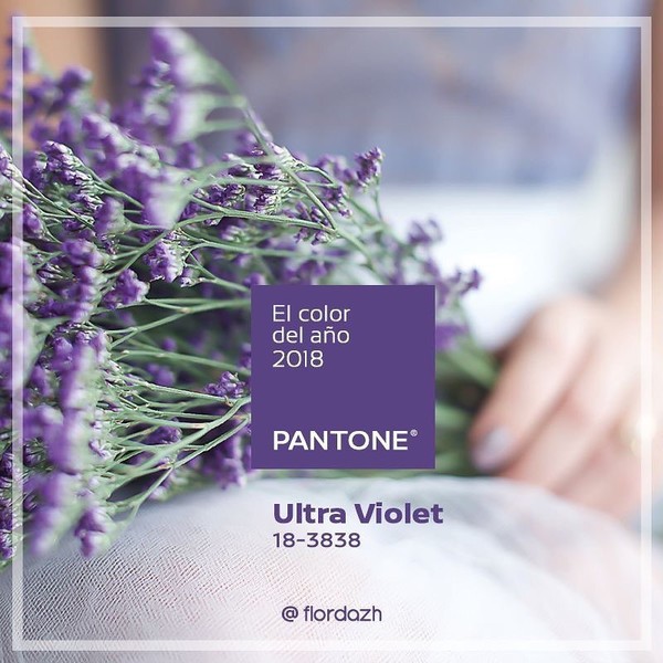 2017-2021近三年流行色,秋冬这5个流行色时髦又显高级感