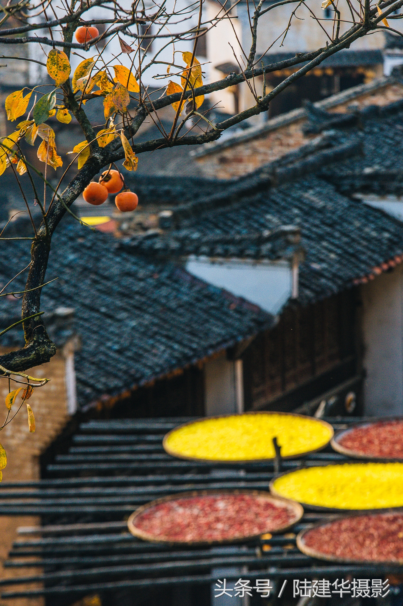 婺源篁岭最美村落,婺源有着中国最美山村称号