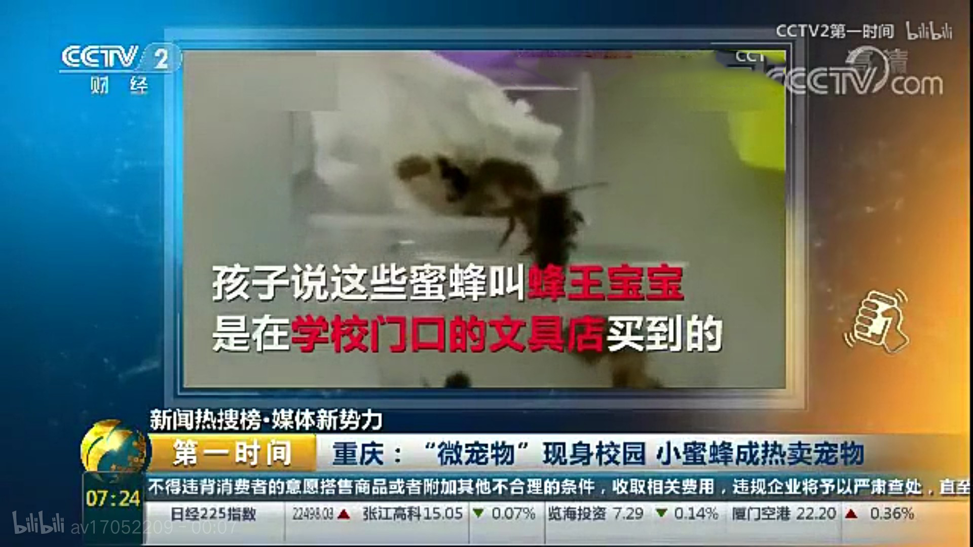 小学生宠物最便宜又好养,小学生小宠物