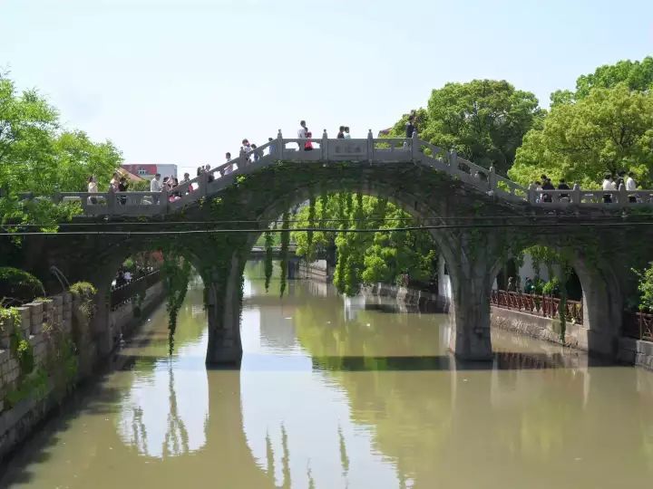 万万没想到!它低调了450多年,却因上海迪士尼一夜间火遍全国!