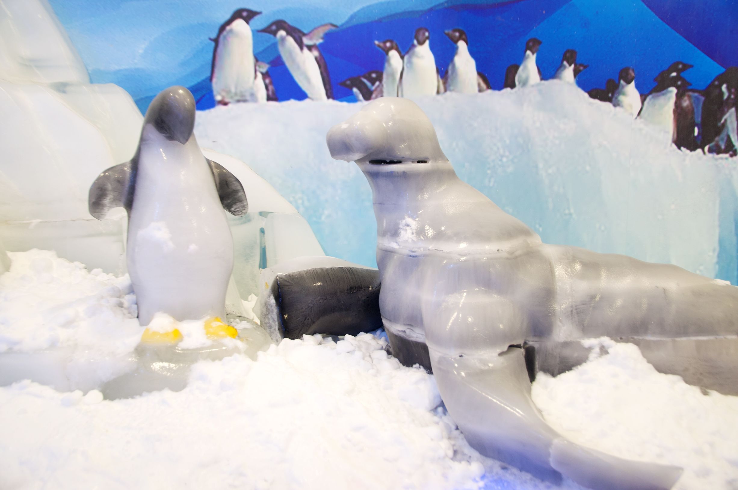 三亚4天3晚海景推荐,颠覆你对海南印象