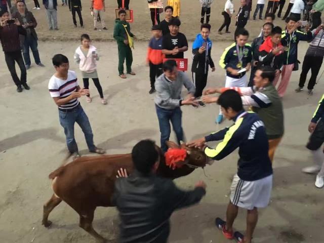 为什么足球与战争更接近,足球为何是战争