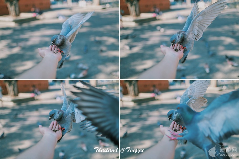 旅游攻略泰国免费,攻略带你了解最美的泰国景点