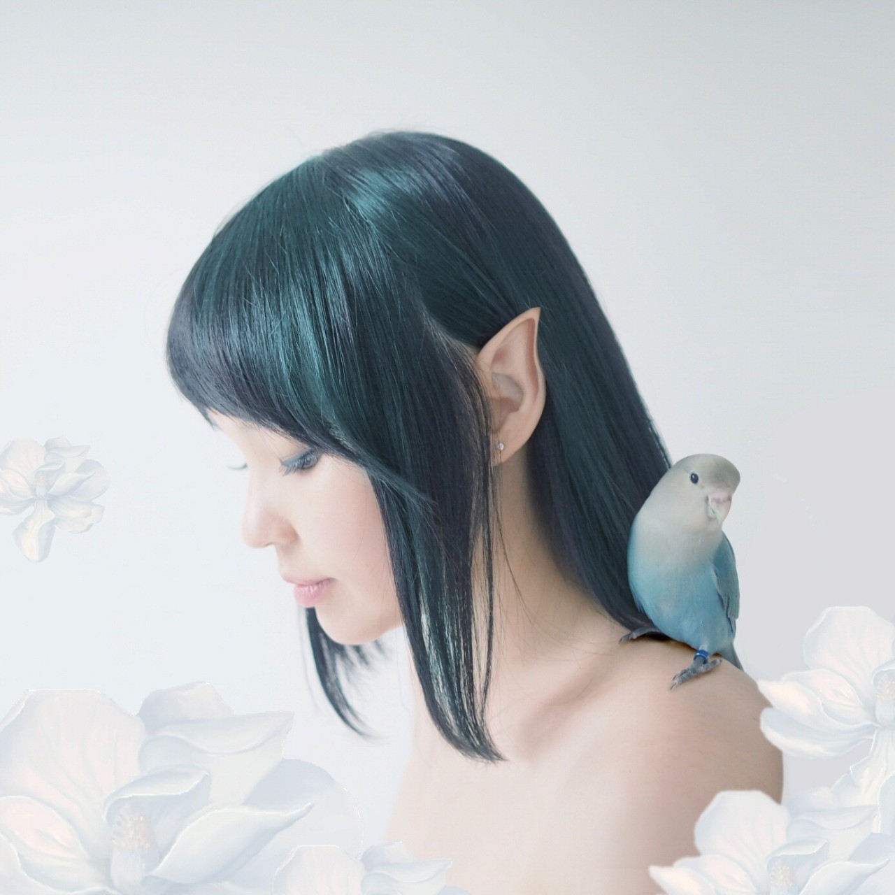 猎奇｜不吃药丸不打针，芳疗师教你用花花草草治病（文末有福利）