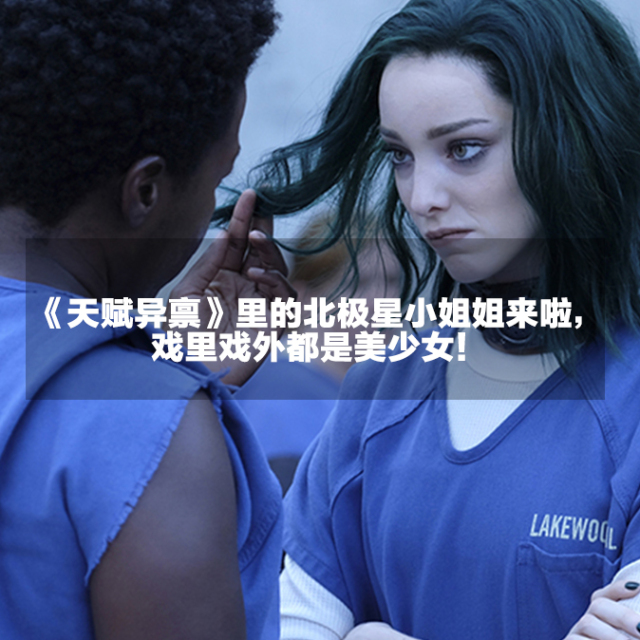 明星同款蓬松发梳,okbeauty旗舰店