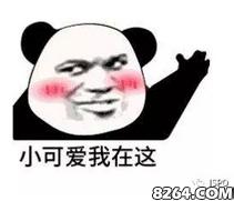 不过夜露营新手入门装备推荐,一个人户外便携式露营装备全套