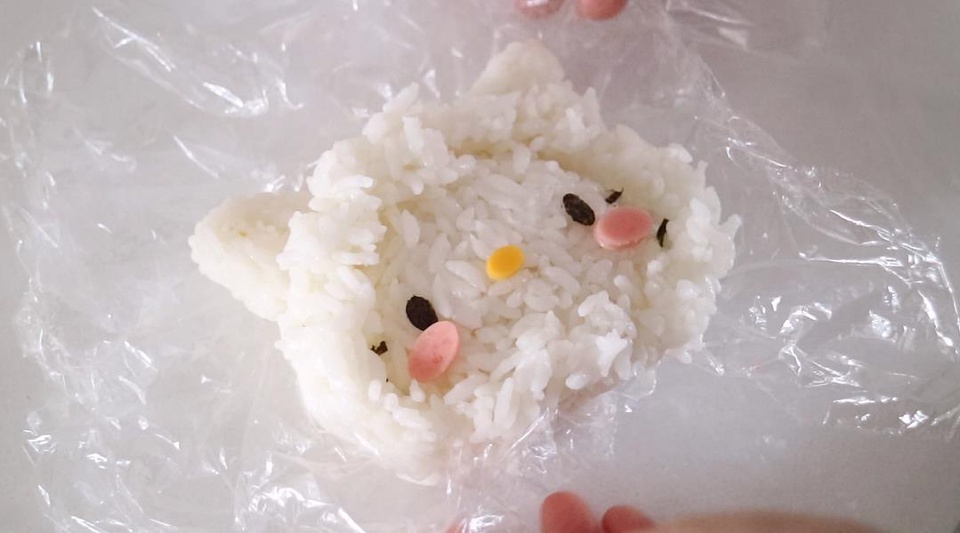 制作日本小学生的便当,日本小学生自制便当好看