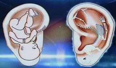 气伤身用什么调理,健康生气百害无一利