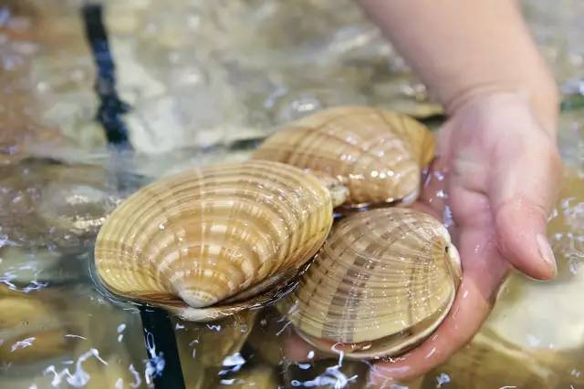 霸气!晋江这家店在火锅界已经拉仇恨了,锅底免费+3元开吃……