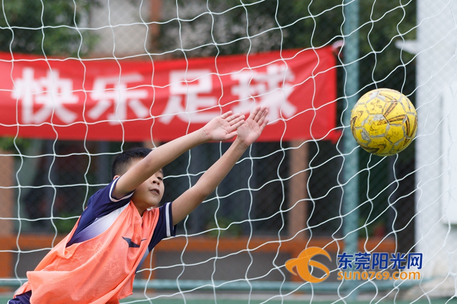 世界花式足球日快乐,世界足球日主题活动