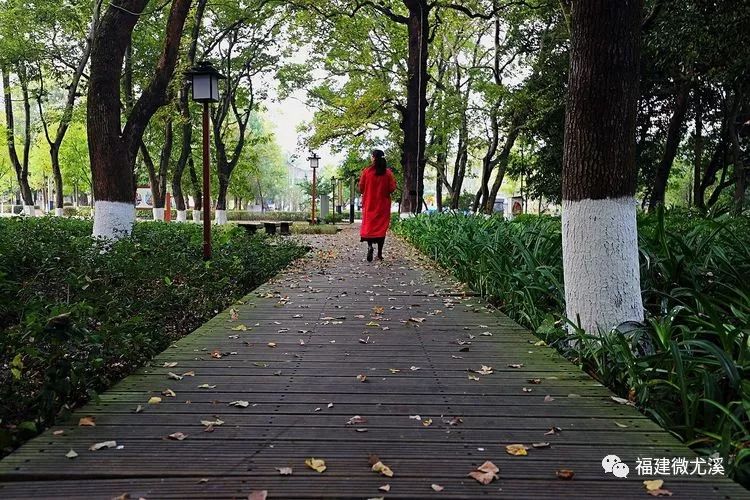 尤溪夏天旅游,关于尤溪的风景介绍