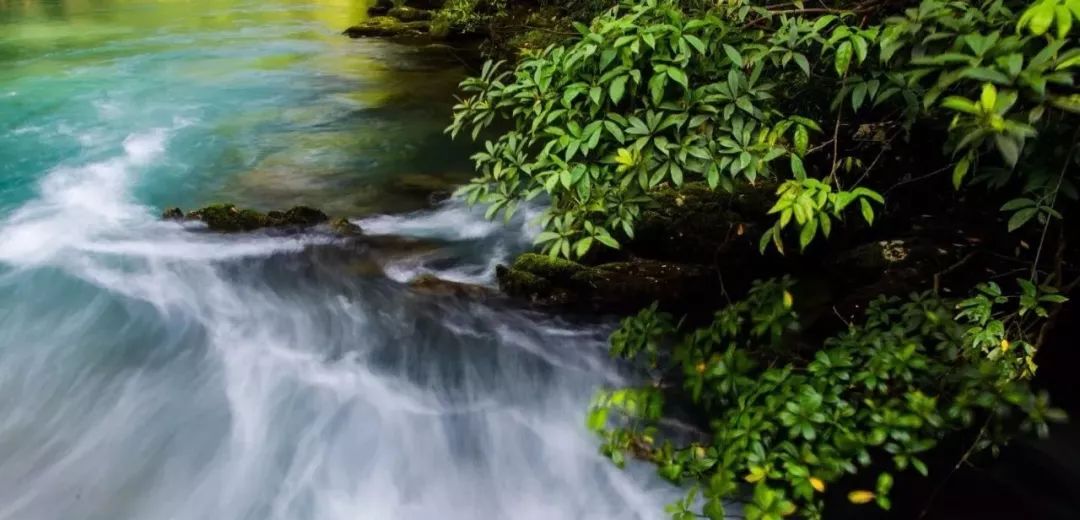 黔南原始森林风景,遇见森林风景
