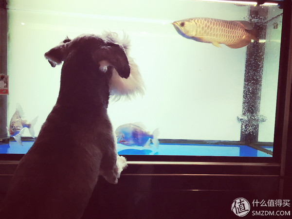 十年后又拿起画笔,十年后重新拿起画笔