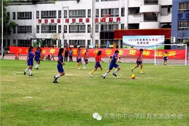 2023年东莞市小学生足球赛,厚街镇第六届小学生足球联赛