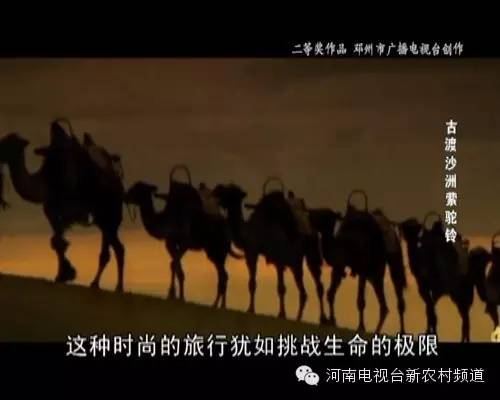 中原大地歌曲,中原大地的歌曲