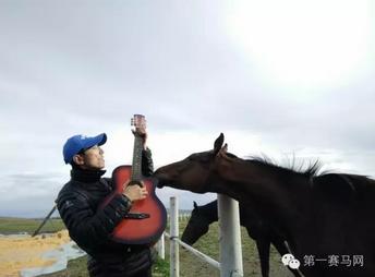 拳坛名人“天山雪豹”购入纯血马引发轰动