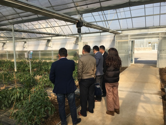 做好三农工作推进农业现代化,振兴乡村加快农业农村现代化