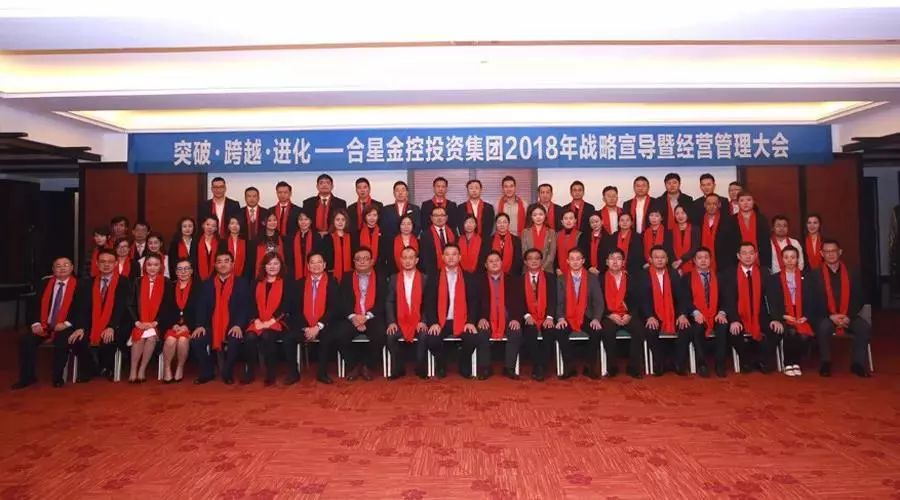 一体两翼发展战略,一体两翼再次腾飞