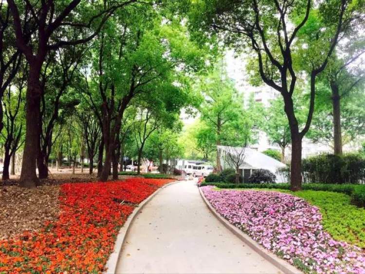 不知道这些词今年真的白过了|2017魔都生活高频热词