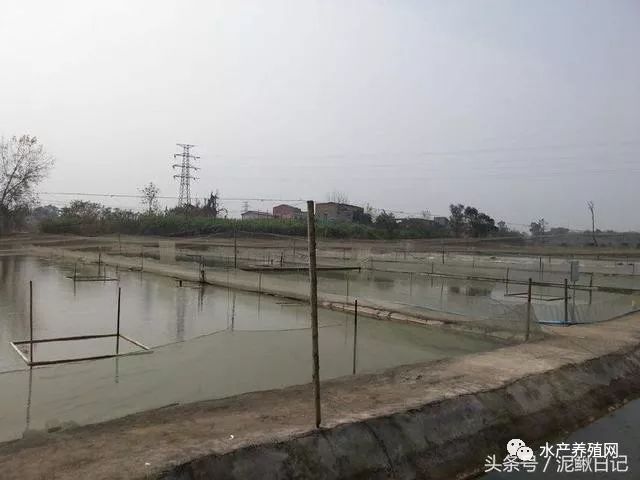 池塘漏水,池塘老漏水怎么堵漏