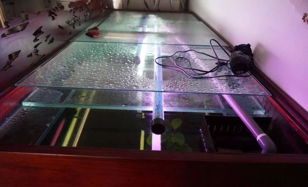 玩得细致、专业,出手不凡!