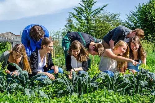 十斤红糖不如一口铁元,拯救黄脸婆全靠它了