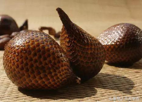 世界出名的十种稀奇水果,世界十大奇异生物你见过几种